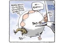 [노컷카툰] 747
