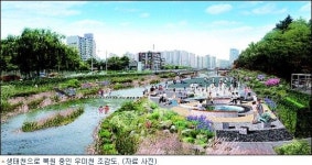 1급수 물고기가 서울 우이천에?