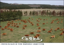 청정제주 제동목장, 환경친화 축산농장 비약