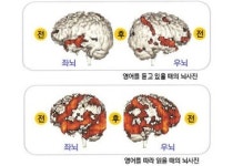 영어 정복의 지름길 듣고, 따라하기에서 찾아냈다