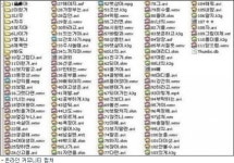 개념누나, 눈 빨간 남동생에게 이제 폴더를 닫으렴