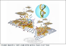KAIST, DNA 활용 2나노급 반도체 제조 기술 개발