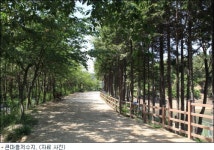초등학생들이 관리하는 저수지 산림공원 눈길