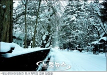 걸음마다 묻어나는 생명의 숨결… 눈꽃 도화지를 물들이다