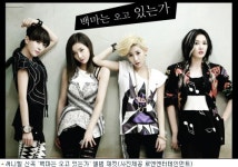 써니힐, 풍자는 직설적이고 통쾌하게