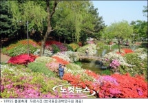 표준硏, 5월 4-6일 봄꽃축제…연구원 개방