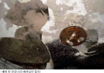 불을 부르는 베트남 11세 초능력 소녀 치료해주오
