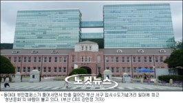 부산 서구에 이는 젊음의 물결