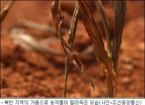 北 총리, 황해남도 가뭄지역 방문