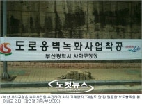 부산 사하구, 멀쩡한 새 보도블럭 뜯어낸 까닭은?