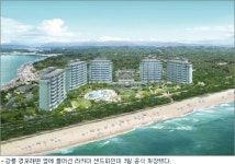 라카이 샌드파인 개장…강릉경포 ‘변신’