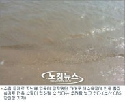 시민공간 다대포 해수욕장 민간업체에 빼앗길 판?