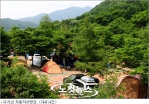 애완견 데려오면 과태료 10만원…여름휴가 수칙 10가지