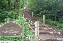 풀 · 꽃향 가득한 생명의 숲 자연의 오페라