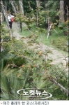300만명 바라보던 제주올레 개장이후 최대위기
