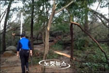 태풍의 위력, 등산로는 어디로?