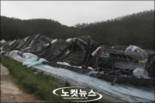 전남 태풍피해 2천억원 넘어서