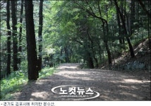 경기관광공사 9월 추천 여행 숲 속 별미여행