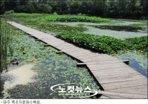 경기관광공사 9월 추천 여행 숲 속 별미여행