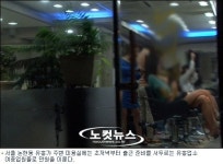 性·性·性…쾌락에 빠진 대한민국