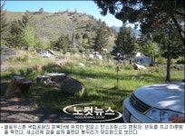 아메리카의 세렝게티…화산이 빚은 대자연 옐로우스톤