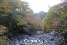 한라산 오색에 물들다
