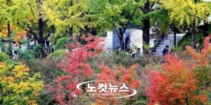 캠퍼스 찾아온 가을