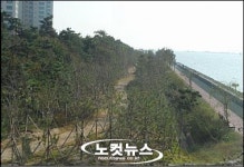 부산 강서구에 대규모 해안방재림 완공