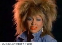 새 쫒아내는데는 티나 터너 노래 효과 좋아