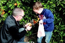 감귤 따고 한라산 오르고…