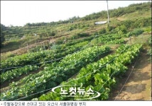 오산시 서울대병원 유치문제 갈길 험난?