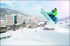 대명리조트 스키월드 20년전 가격 파격할인