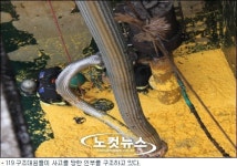 제주 감귤처리공장서 청소 인부 2명 유독가스에 질식사(2보)