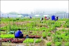 도심속 수확의 기쁨 나눠요