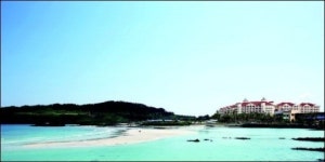 대명리조트 제주, 신규 콘도 오픈 할인