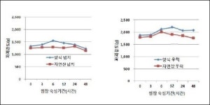 생선회, 자연산 활어 보다 양식 선어가 좋다