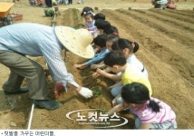 양봉에 치매 치료까지…진화 하는 도시 농업