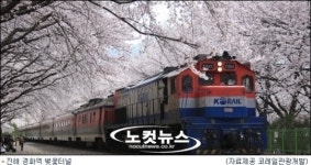 코레일관광개발, 봄꽃 기차여행 출발