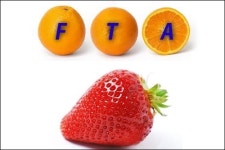 FTA 1년…딸기 비싸면? 오렌지 사먹으면 되고!