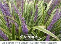 없는 형편끼리 더 도와야죠 영세민APT에서 나누는 사랑의 꽃