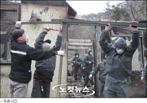 포항 산불 피해액 54억원…포항시 보상 나서