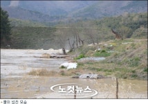 경주 안강 산대저수지 둑 터져…아파트 1층 잠겨(종합)