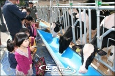 메가마트, 부산 도심서 목장 체험