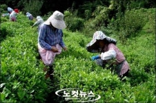 우리나라 최초의 茶 김해 장군茶 맛보러 오세요
