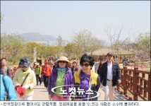 순천정원박람회, 공연도 해설도 모르고 그냥 걷기만