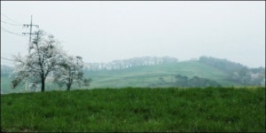 [두데코] 봄을 만끽할 수 있는 서산 해미 드라이브