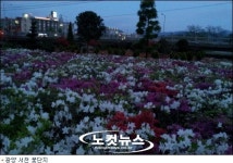 광양 서천, 순천만 정원 박람회 부럽잖아