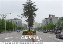 춘천시 낙락장송 도로 부적합 이견