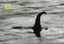 네스 호 괴물 네시 정체는 물거품?