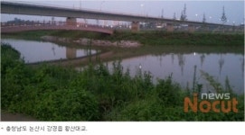 쑥대밭된 4대강 현장…요트계류장·축구장이 어디예요?